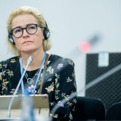 Miapetra Kumpula-Natri - delegation of European Parliament to COP24.